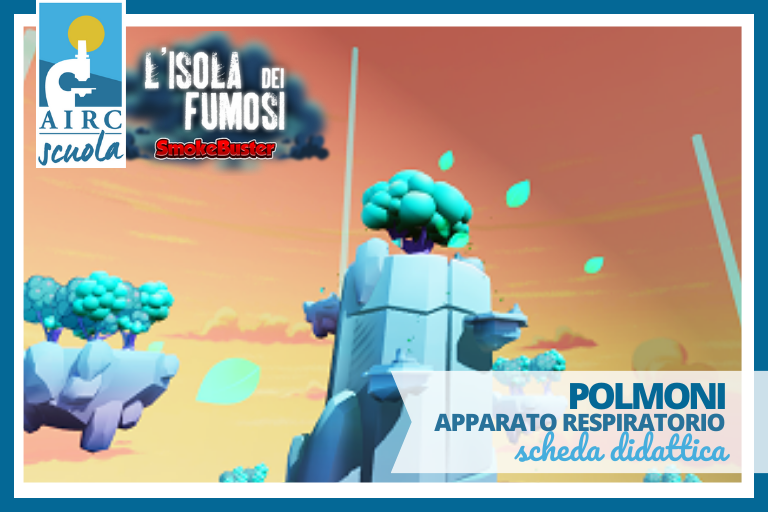 1. POLMONI – apparato circolatorio