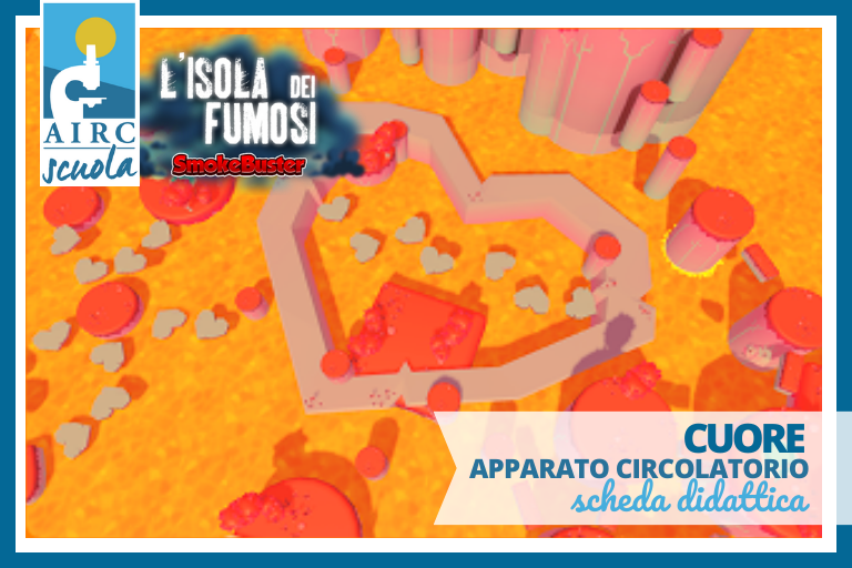 3. CUORE – apparato circolatorio