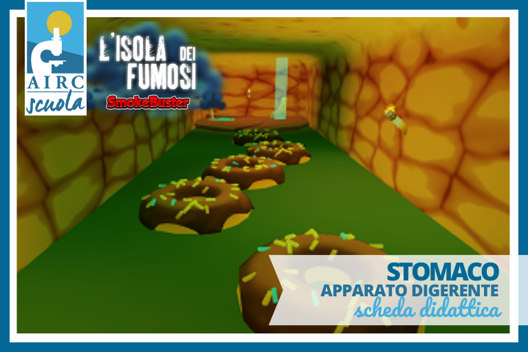 2. STOMACO – apparato digerente